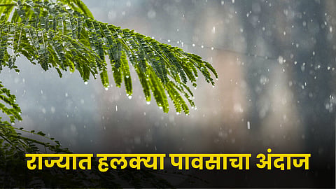 Rain News