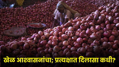 Onion Market