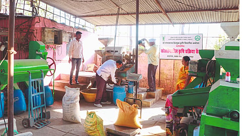 Agriculture Processing