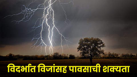 Rain Forecast