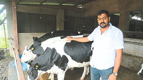 Dairy Business