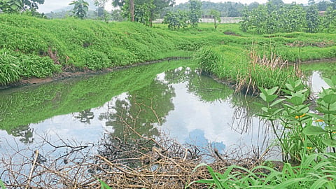 Agriculture Pollution