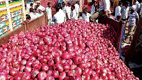 Onion Scam Maharashtra