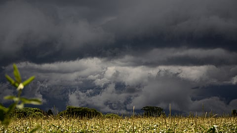 Maharashtra Rain