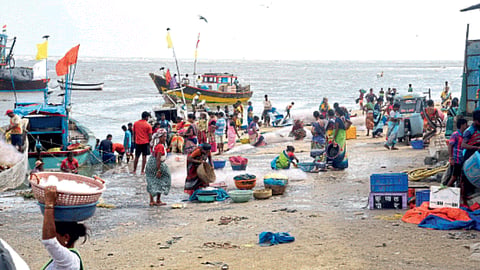 Fish Market