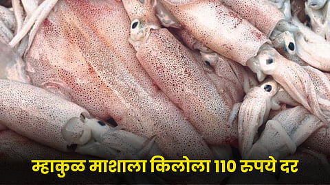 Fish Market