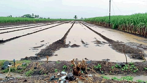 Land Health