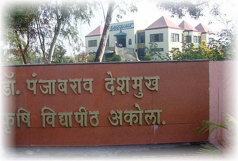 PD Agriculture university