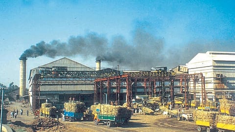 Sugar Factory Election