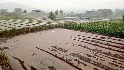 Rain Update