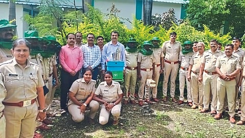 Forest Department