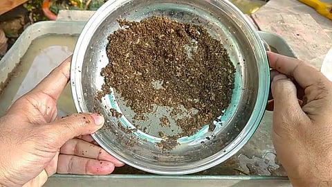 Shivaji University Research