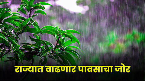 Rain Foreacst