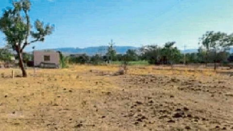 Grazing Land