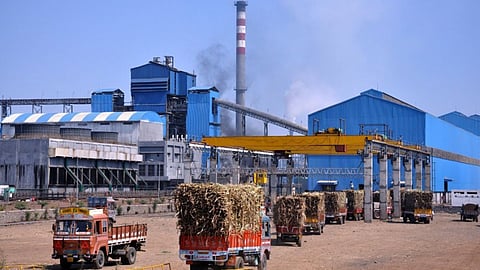 Sugarcane Production