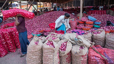 Onion Auction Nashik
