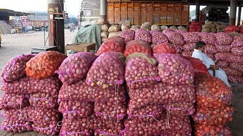 Onion Traders Nashik
