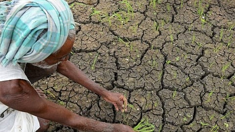 Maharashtra Drought