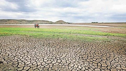 Drought Condition