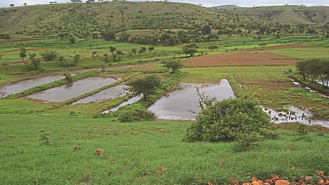 Rural Development
