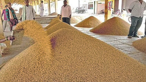 Soybean