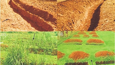 Water Conservation