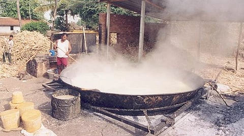 Jaggery Production