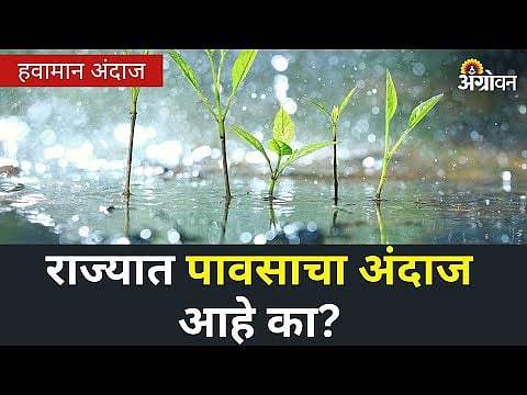 Maharashtra Rain