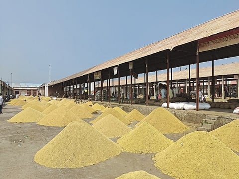 Soyabean Market