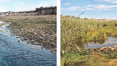 Water Management