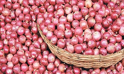 Onion Market