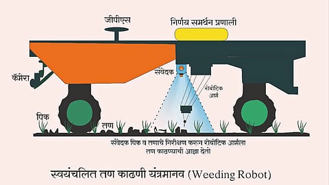 Weeding Robot
