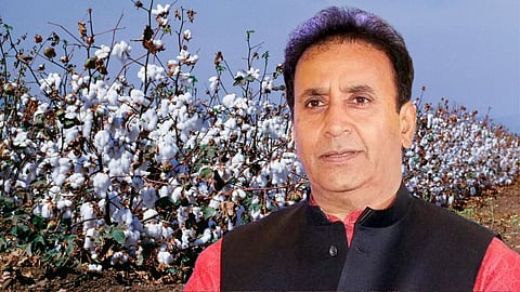 Cotton Grow Farmers