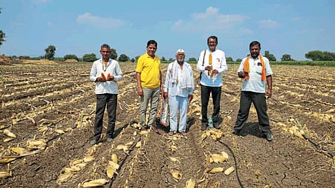 Zero Tillage