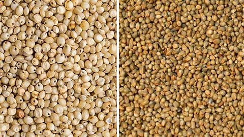 Millet Rate