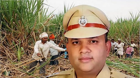 Sugarcane Farmer