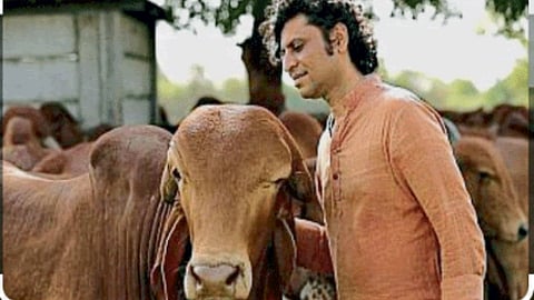 Animal Care