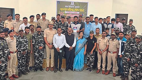 Forest Department