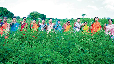 Women Empowerment