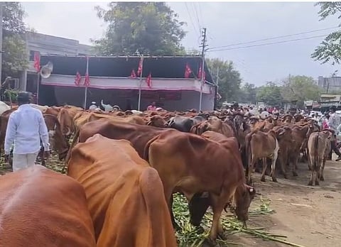 Dairy Farmer protest