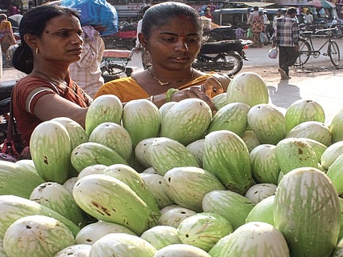 Brinjal Price