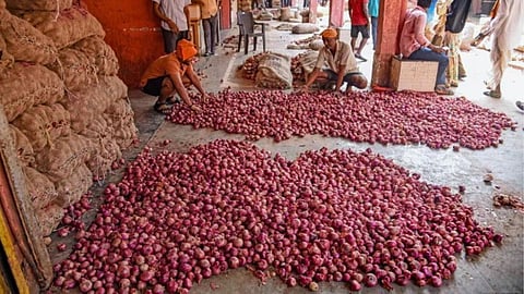 Onion Market