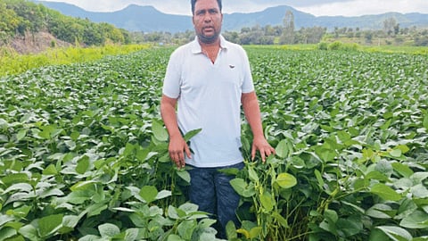 Agriculture Barren Land