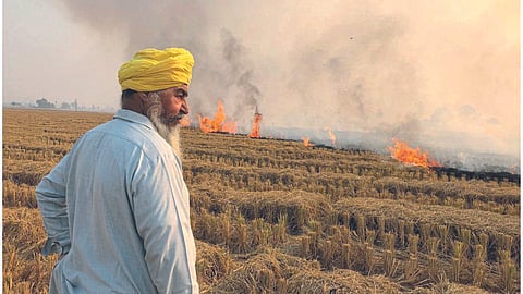 Crop Residue