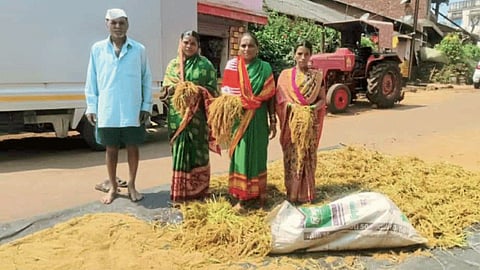 Agriculture Product