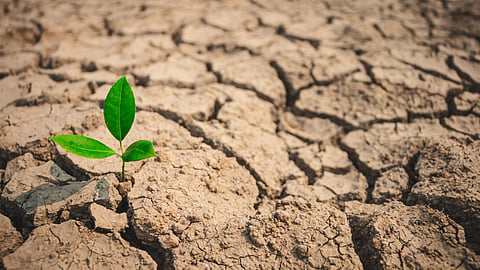 Drought