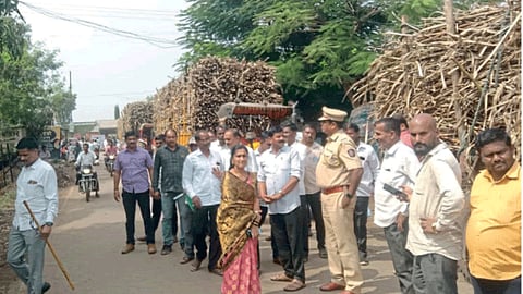 Sugarcane Season
