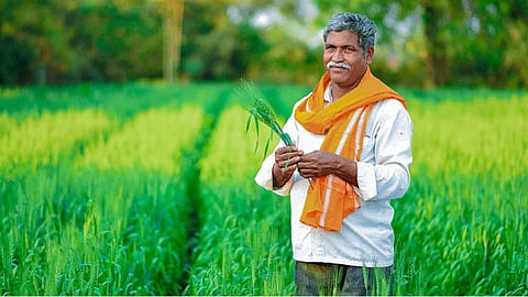 PM Kisan
