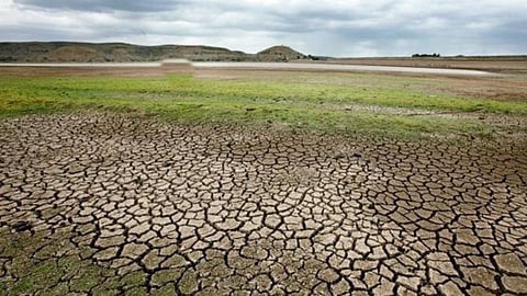 Drought Farmer Help