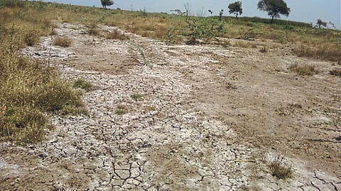 Soil Conservation